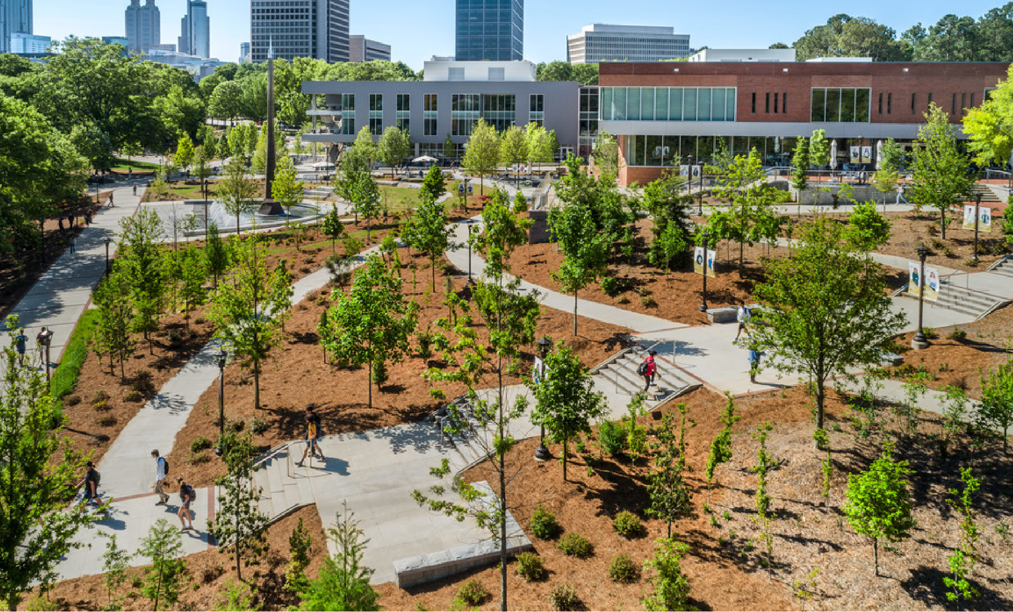 Image of trees on Georgia Tech's campus