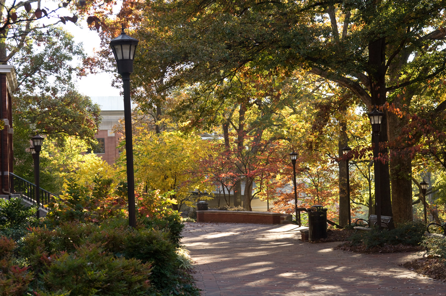 Georgia Tech has been honored as a Tree Campus USA for the fifth consecutive year.