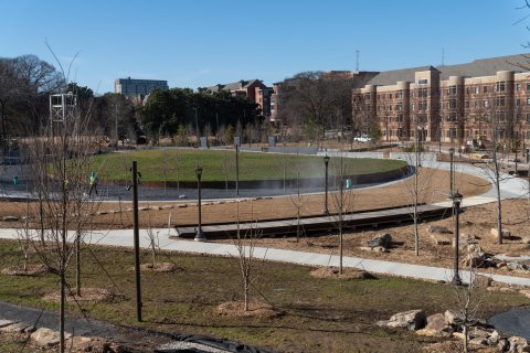 View of the EcoCommons Meadow